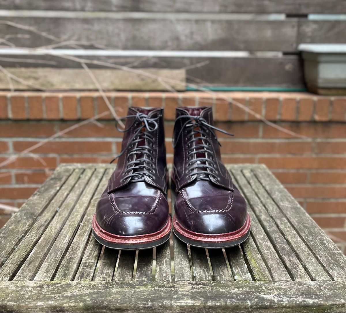 Photo by DesperadoUnderTheEaves on February 2, 2025 of the Alden Indy Boot in Horween Color 8 Shell Cordovan.