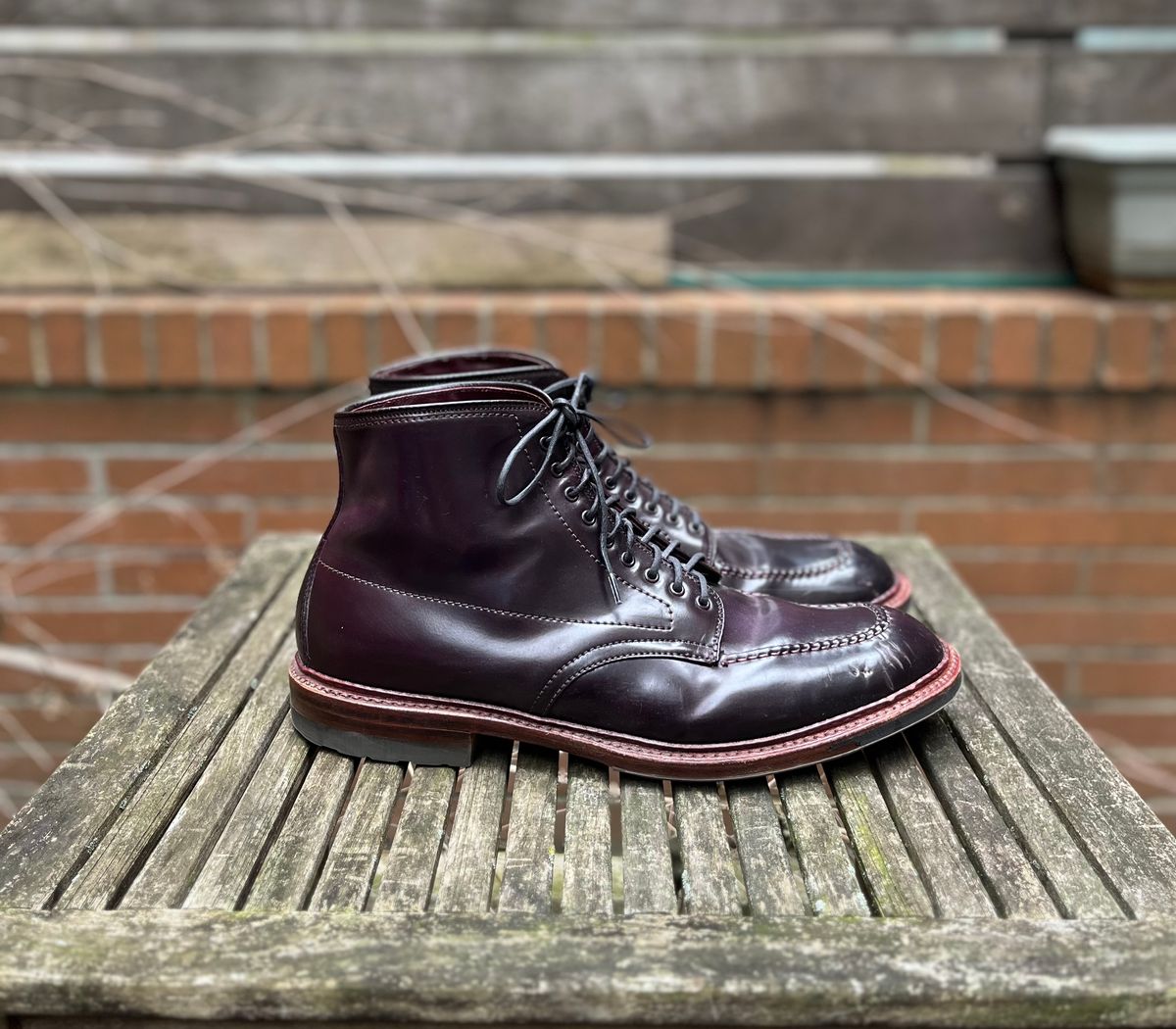 Photo by DesperadoUnderTheEaves on February 2, 2025 of the Alden Indy Boot in Horween Color 8 Shell Cordovan.