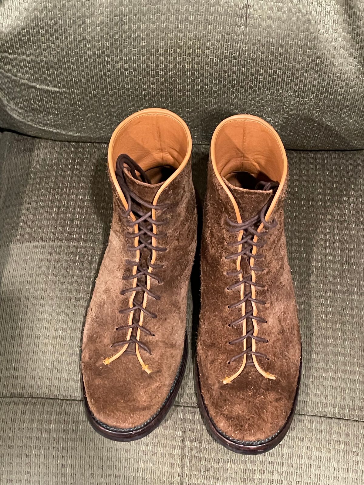 Photo by QuietRyter on February 6, 2024 of the Briselblack The Buck Wholecut Lace to Toe in C.F. Stead Polo Brown Janus Calf Suede.