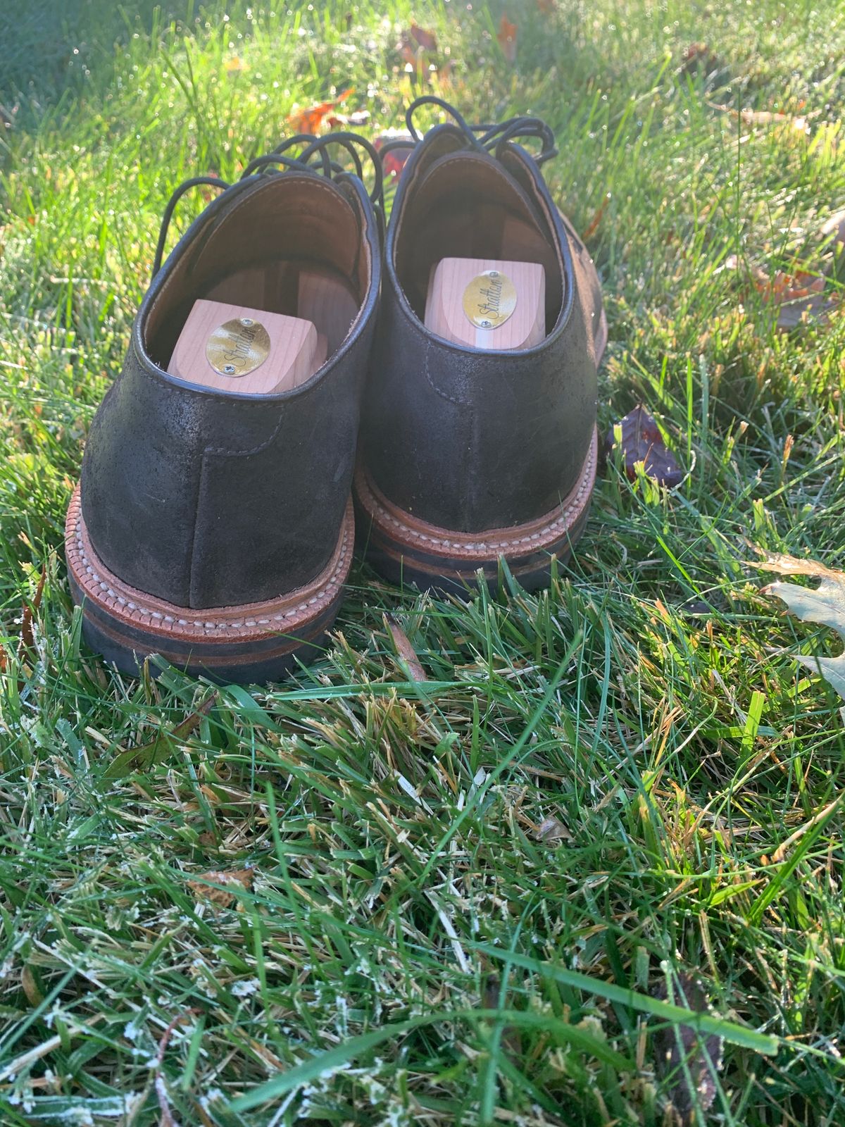 Photo by baltbootguy on November 3, 2023 of the Grant Stone Plain Toe Blucher in C.F. Stead Earth Waxy Commander Suede.