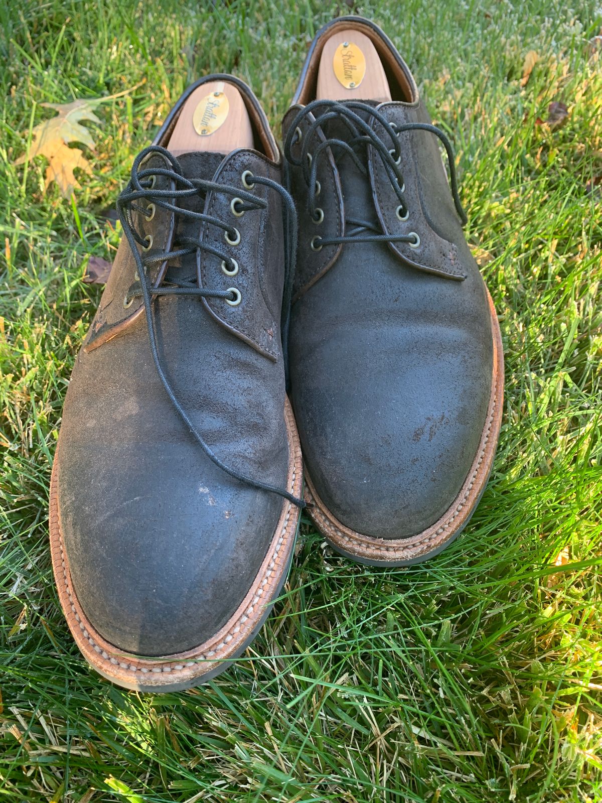 Photo by baltbootguy on November 3, 2023 of the Grant Stone Plain Toe Blucher in C.F. Stead Earth Waxy Commander Suede.