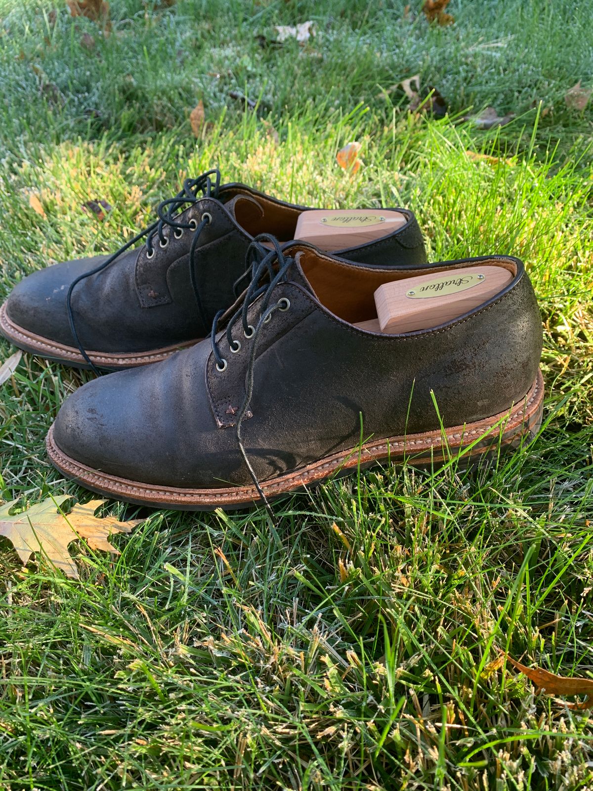 Photo by baltbootguy on November 3, 2023 of the Grant Stone Plain Toe Blucher in C.F. Stead Earth Waxy Commander Suede.