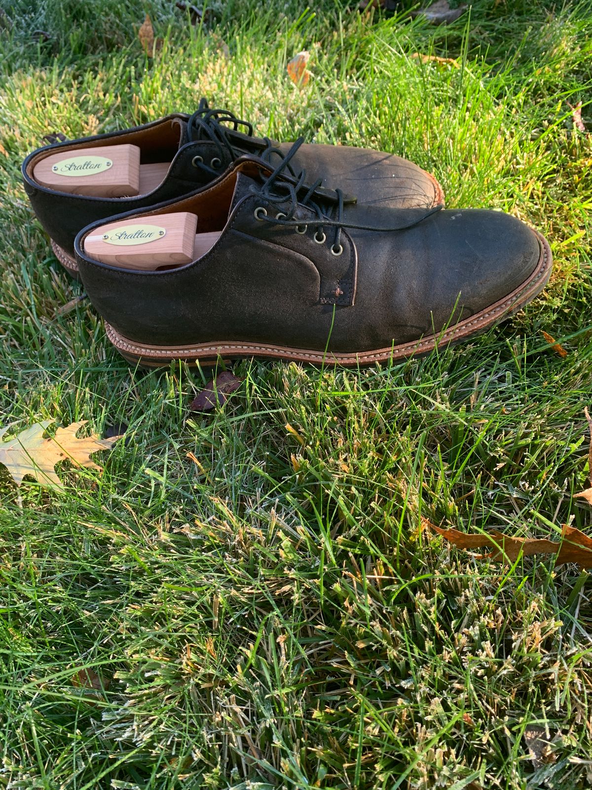 Photo by baltbootguy on November 3, 2023 of the Grant Stone Plain Toe Blucher in C.F. Stead Earth Waxy Commander Suede.