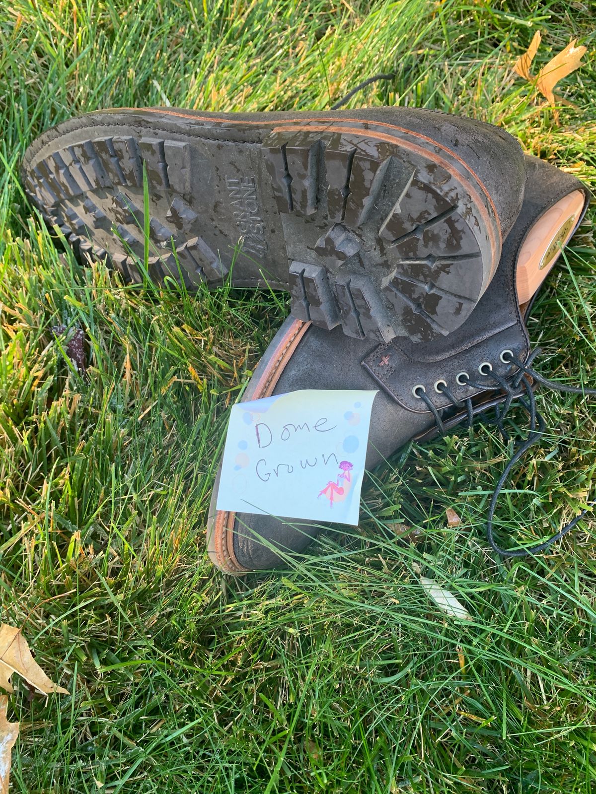 Photo by baltbootguy on November 3, 2023 of the Grant Stone Plain Toe Blucher in C.F. Stead Earth Waxy Commander Suede.