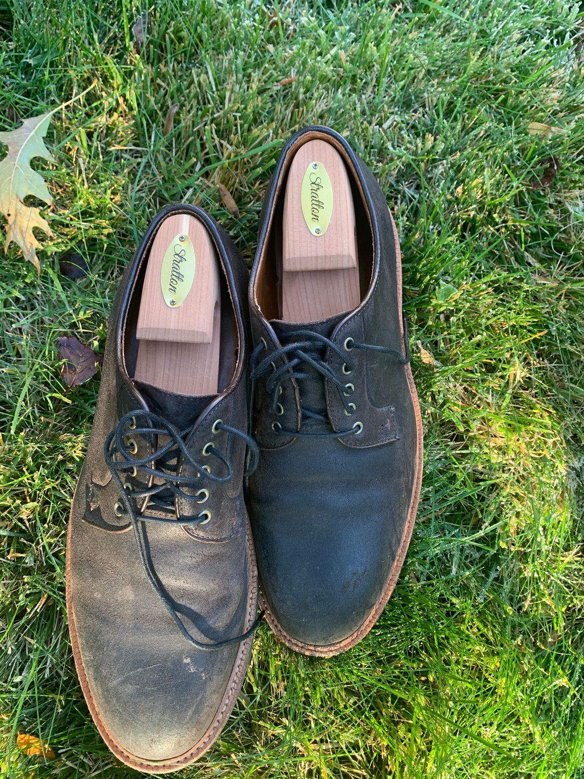 Photo by baltbootguy on November 3, 2023 of the Grant Stone Plain Toe Blucher in C.F. Stead Earth Waxy Commander Suede.