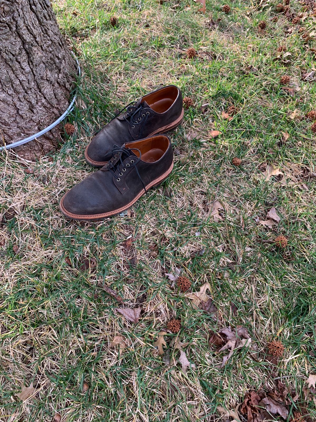 Photo by baltbootguy on March 4, 2024 of the Grant Stone Plain Toe Blucher in C.F. Stead Earth Waxy Commander Suede.