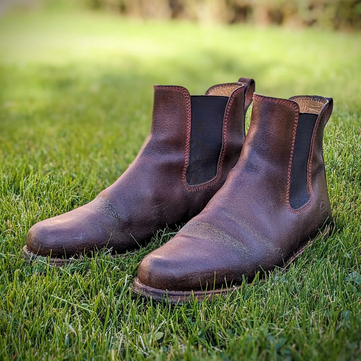 Photo by Rieslingspaschteit on September 6, 2023 of the Urban Shepherd Unknown Model in Waxed Portugese Calfskin.