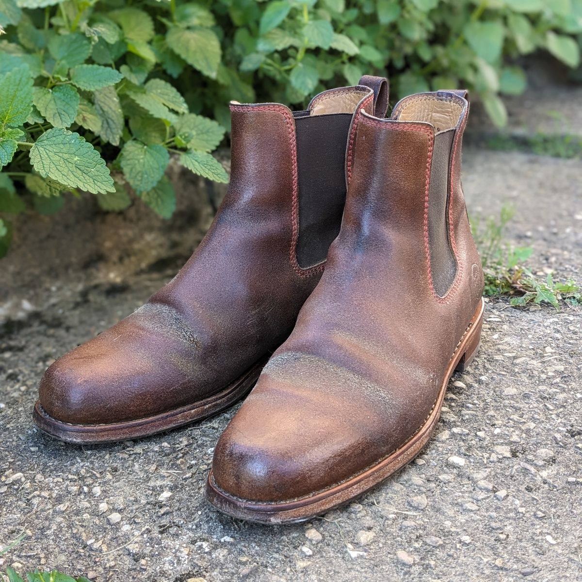 Photo by Rieslingspaschteit on September 6, 2023 of the Urban Shepherd Unknown Model in Waxed Portugese Calfskin.