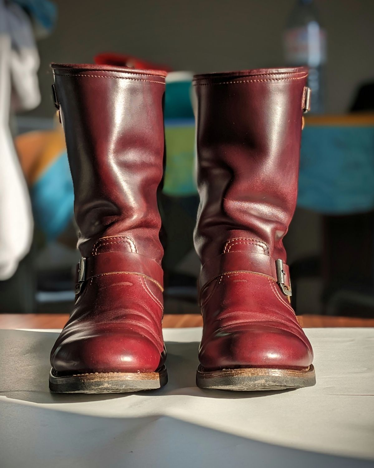 Photo by Rieslingspaschteit on December 3, 2023 of the Sendra Engineer Boot 18345 in Horween Color 8 Chromexcel.