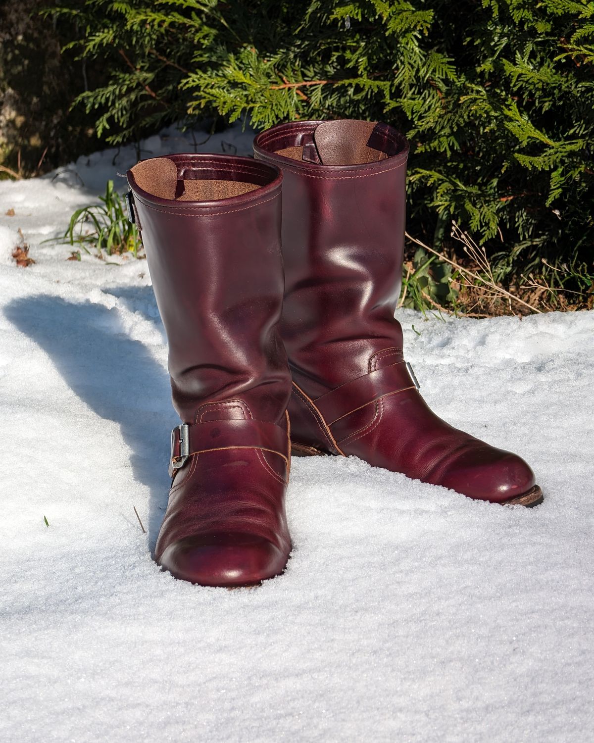 Photo by Rieslingspaschteit on January 20, 2024 of the Sendra Engineer Boot 18345 in Horween Color 8 Chromexcel.