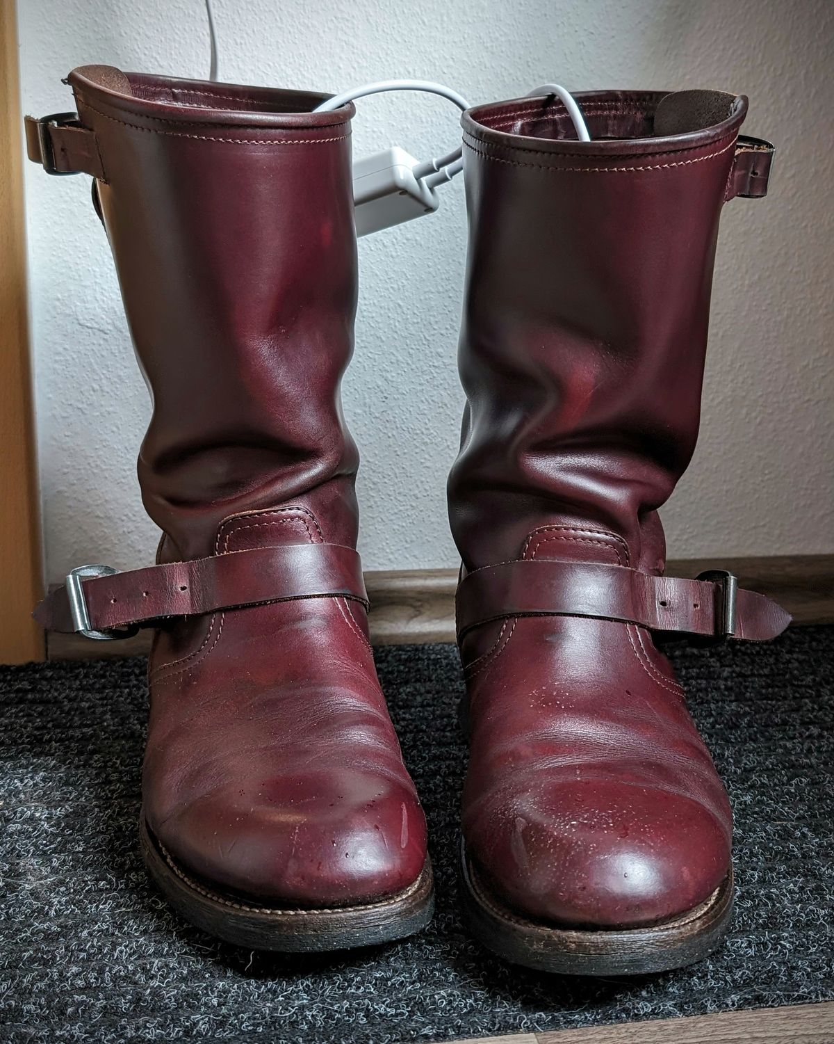 Photo by Rieslingspaschteit on April 3, 2024 of the Sendra Engineer Boot 18345 in Horween Color 8 Chromexcel.