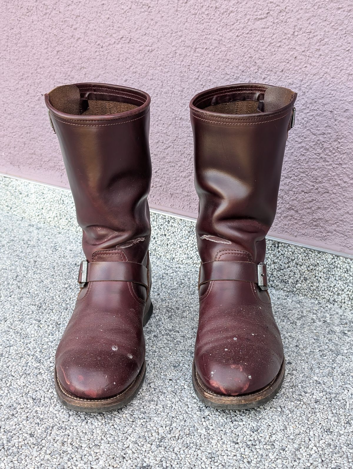 Photo by Rieslingspaschteit on July 7, 2024 of the Sendra Engineer Boot 18345 in Horween Color 8 Chromexcel.