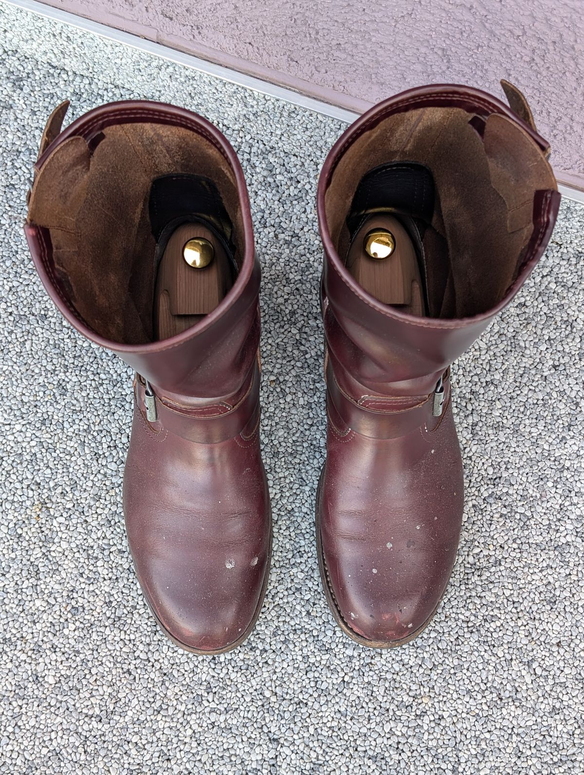 Photo by Rieslingspaschteit on July 7, 2024 of the Sendra Engineer Boot 18345 in Horween Color 8 Chromexcel.