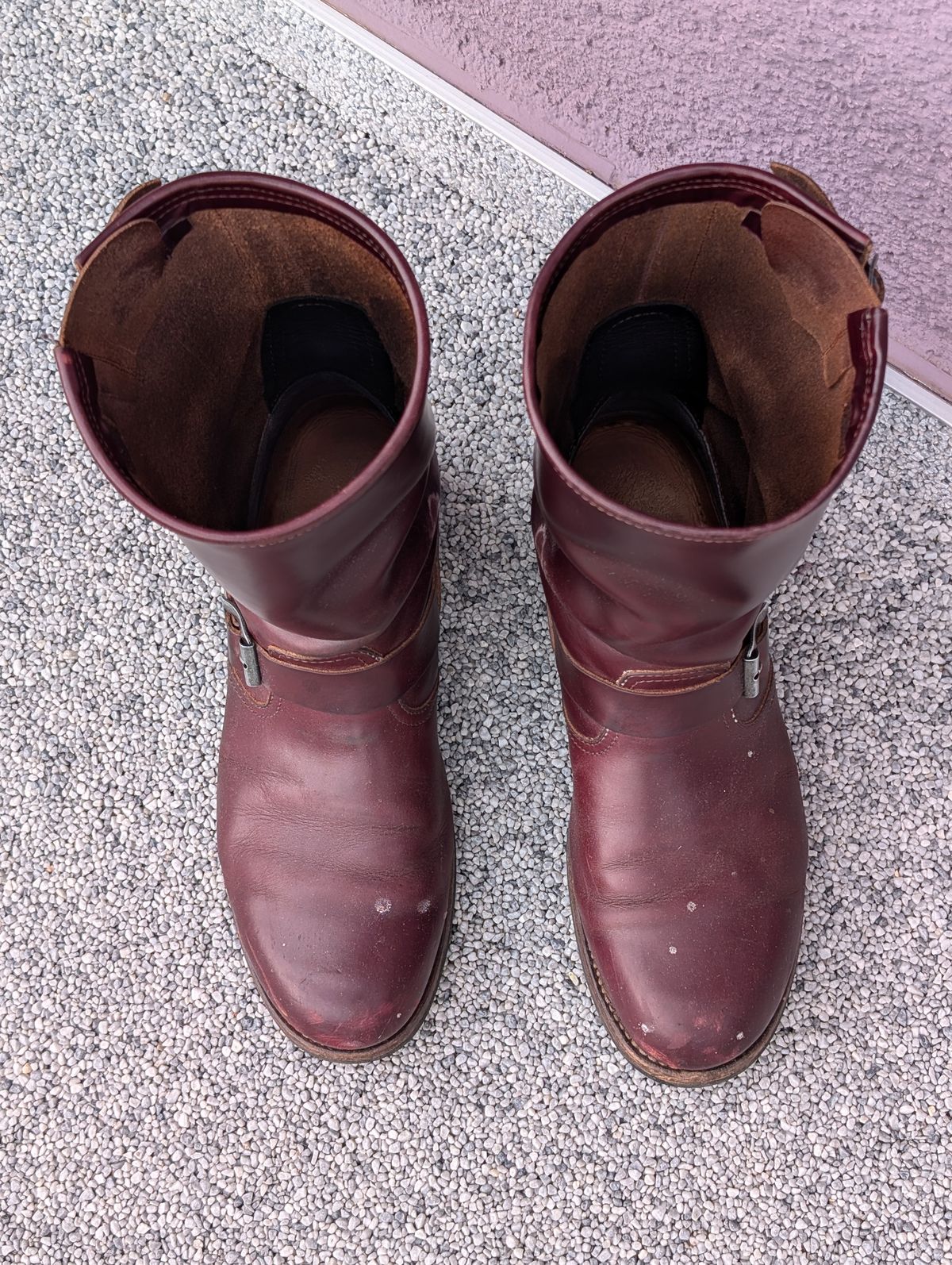 Photo by Rieslingspaschteit on July 7, 2024 of the Sendra Engineer Boot 18345 in Horween Color 8 Chromexcel.