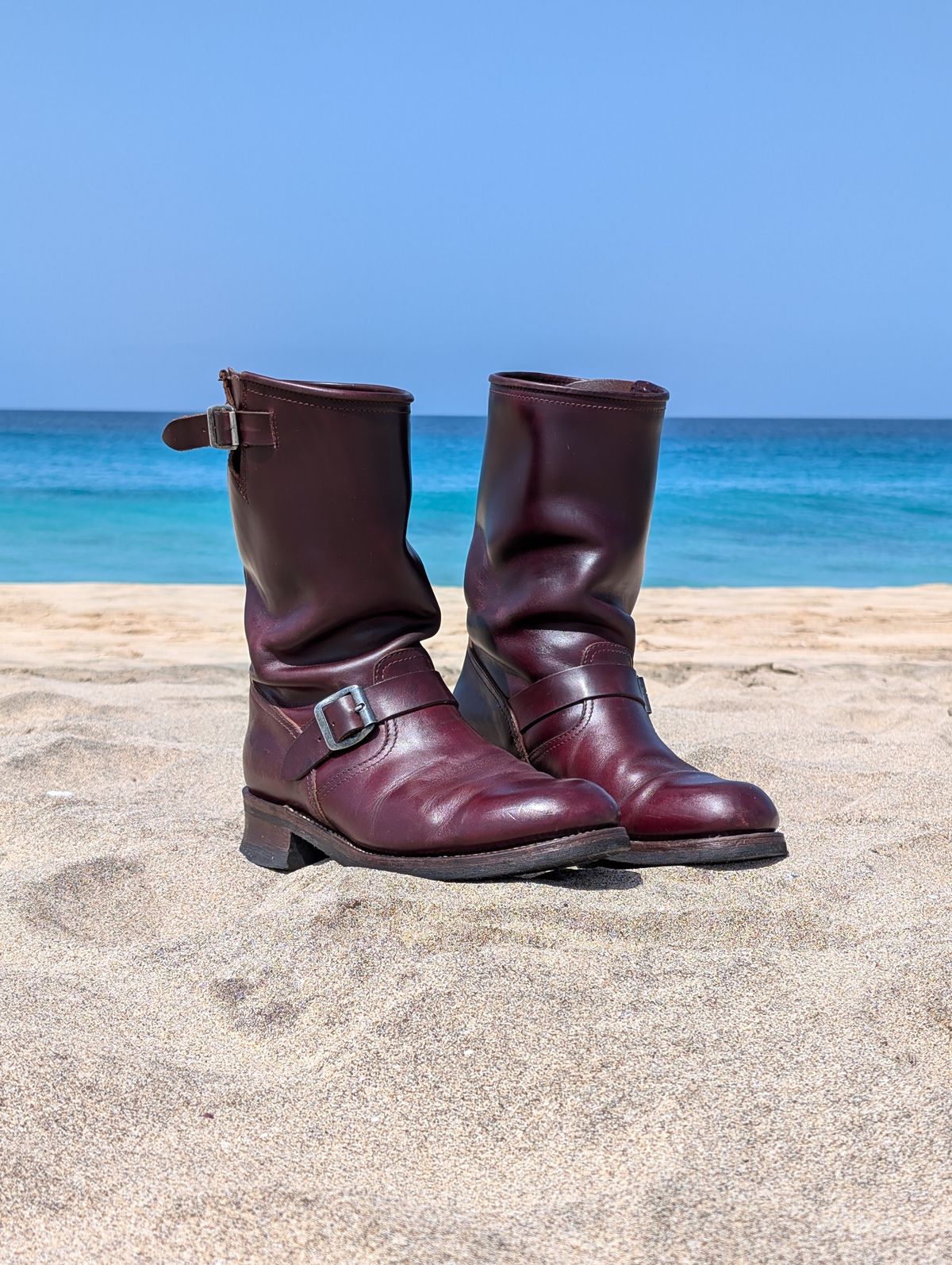 Photo by Rieslingspaschteit on October 2, 2024 of the Sendra Engineer Boot 18345 in Horween Color 8 Chromexcel.