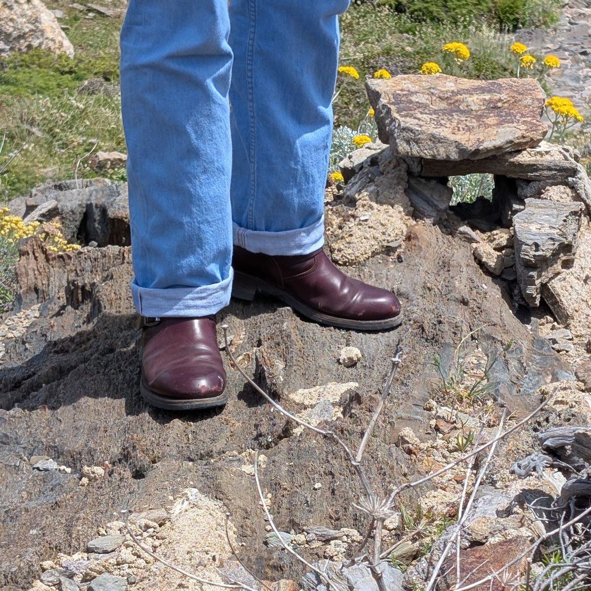 Photo by Rieslingspaschteit on May 27, 2025 of the Sendra Engineer Boot 18345 in Horween Color 8 Chromexcel.