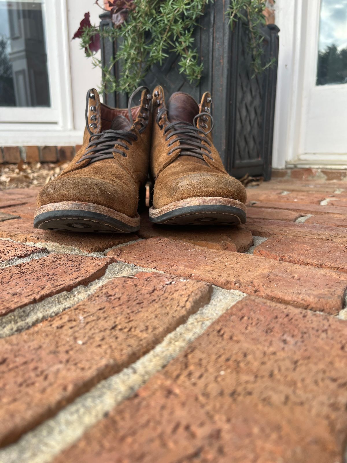 Photo by mrallen on March 4, 2025 of the White's Main Street in Tan Suede.