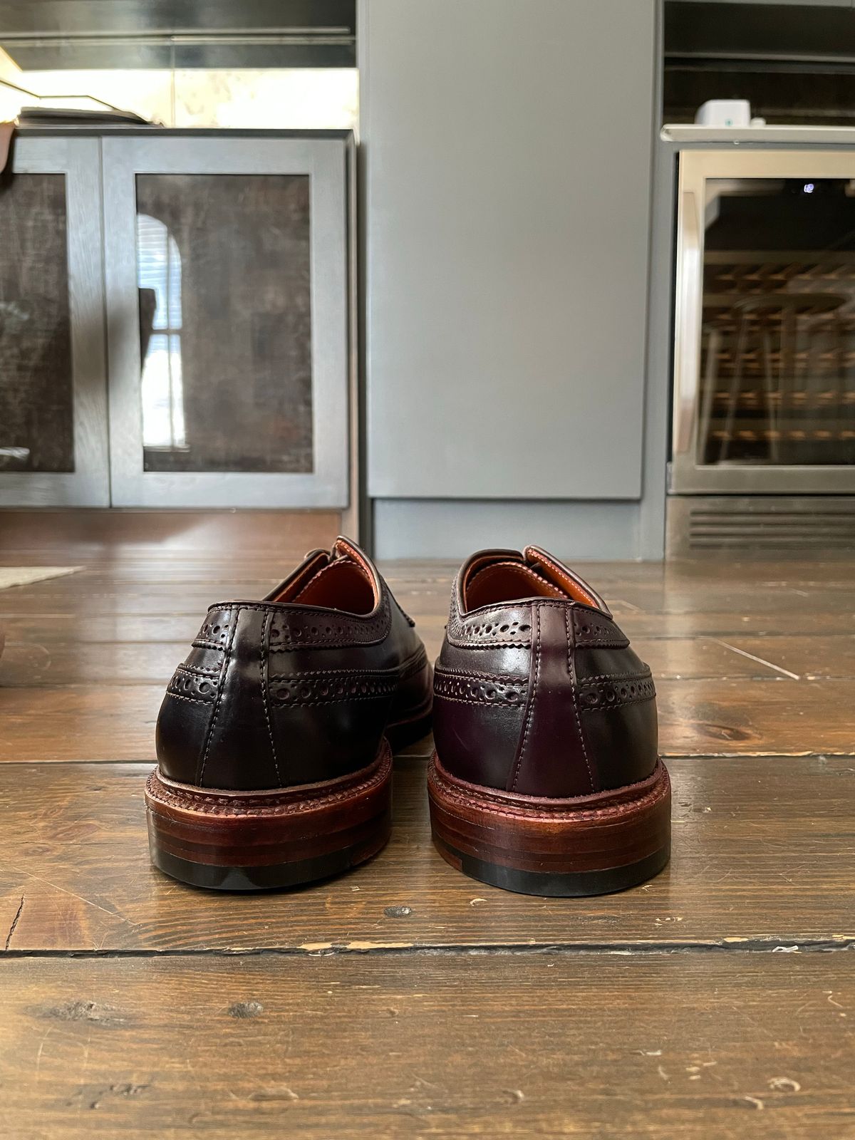 Photo by full_brogue on October 1, 2022 of the Alden Long Wing Blucher in Horween Color 8 Shell Cordovan.