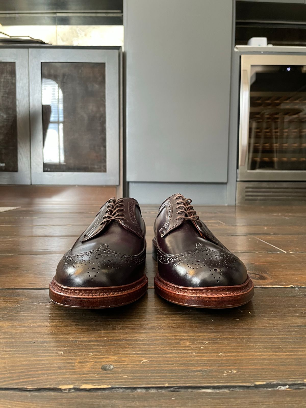 Photo by full_brogue on October 1, 2022 of the Alden Long Wing Blucher in Horween Color 8 Shell Cordovan.