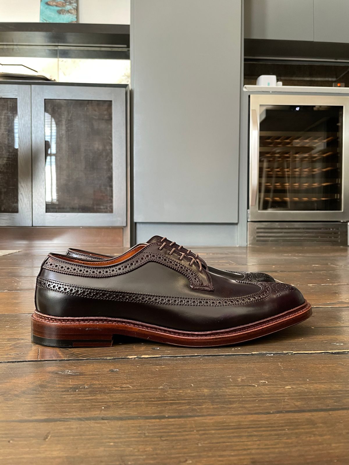Photo by full_brogue on October 1, 2022 of the Alden Long Wing Blucher in Horween Color 8 Shell Cordovan.