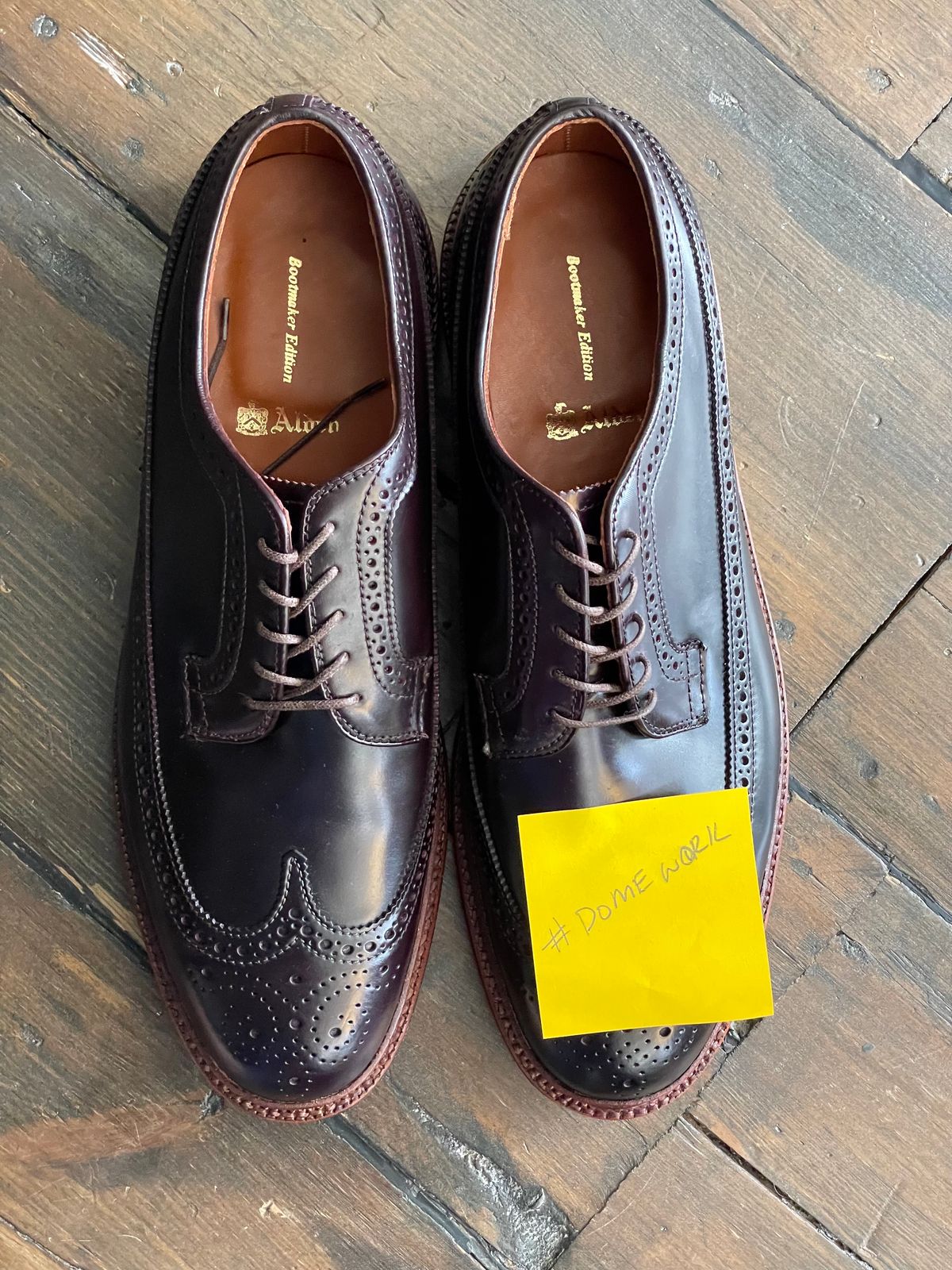 Photo by full_brogue on October 1, 2022 of the Alden Long Wing Blucher in Horween Color 8 Shell Cordovan.