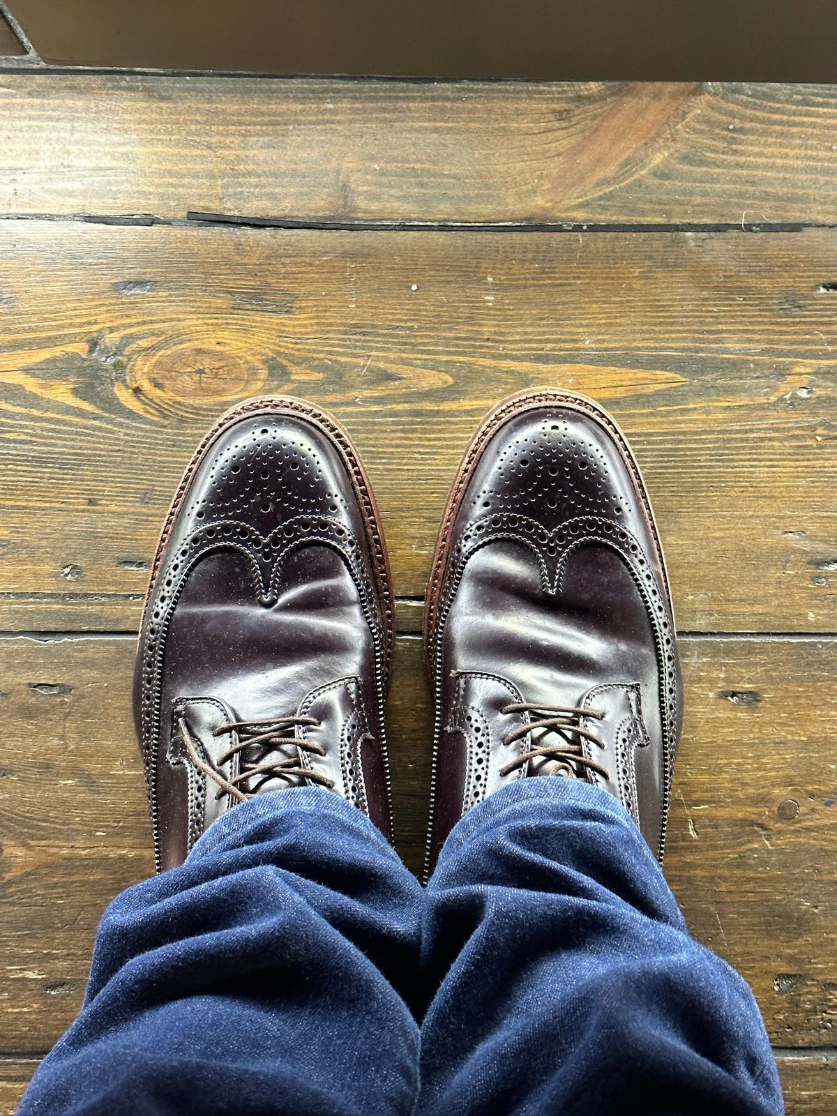 Photo by full_brogue on November 5, 2022 of the Alden Long Wing Blucher in Horween Color 8 Shell Cordovan.