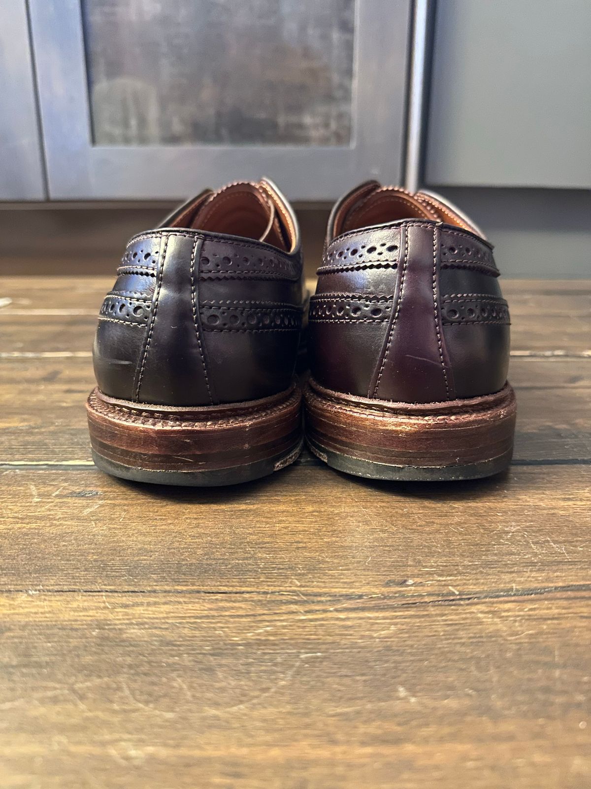 Photo by full_brogue on November 5, 2022 of the Alden Long Wing Blucher in Horween Color 8 Shell Cordovan.