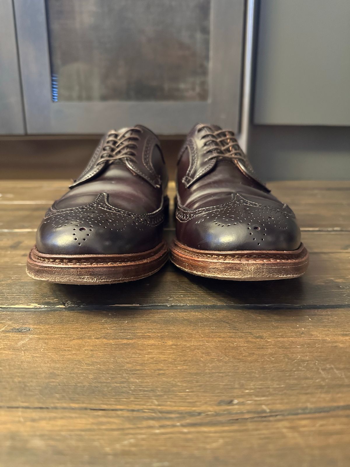 Photo by full_brogue on November 5, 2022 of the Alden Long Wing Blucher in Horween Color 8 Shell Cordovan.