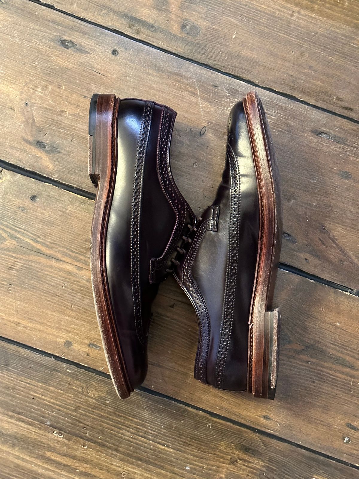 Photo by full_brogue on November 5, 2022 of the Alden Long Wing Blucher in Horween Color 8 Shell Cordovan.