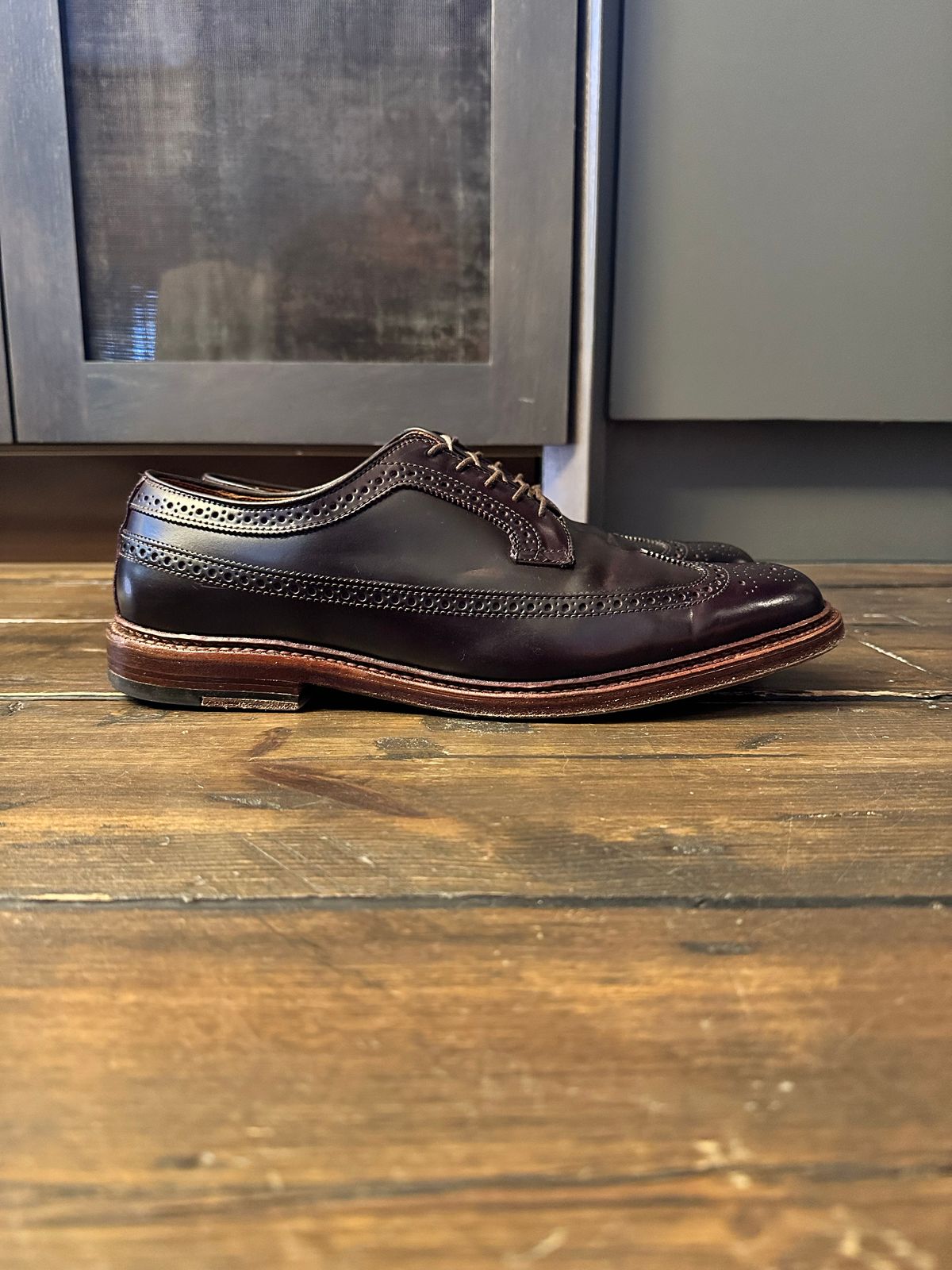 Photo by full_brogue on November 5, 2022 of the Alden Long Wing Blucher in Horween Color 8 Shell Cordovan.