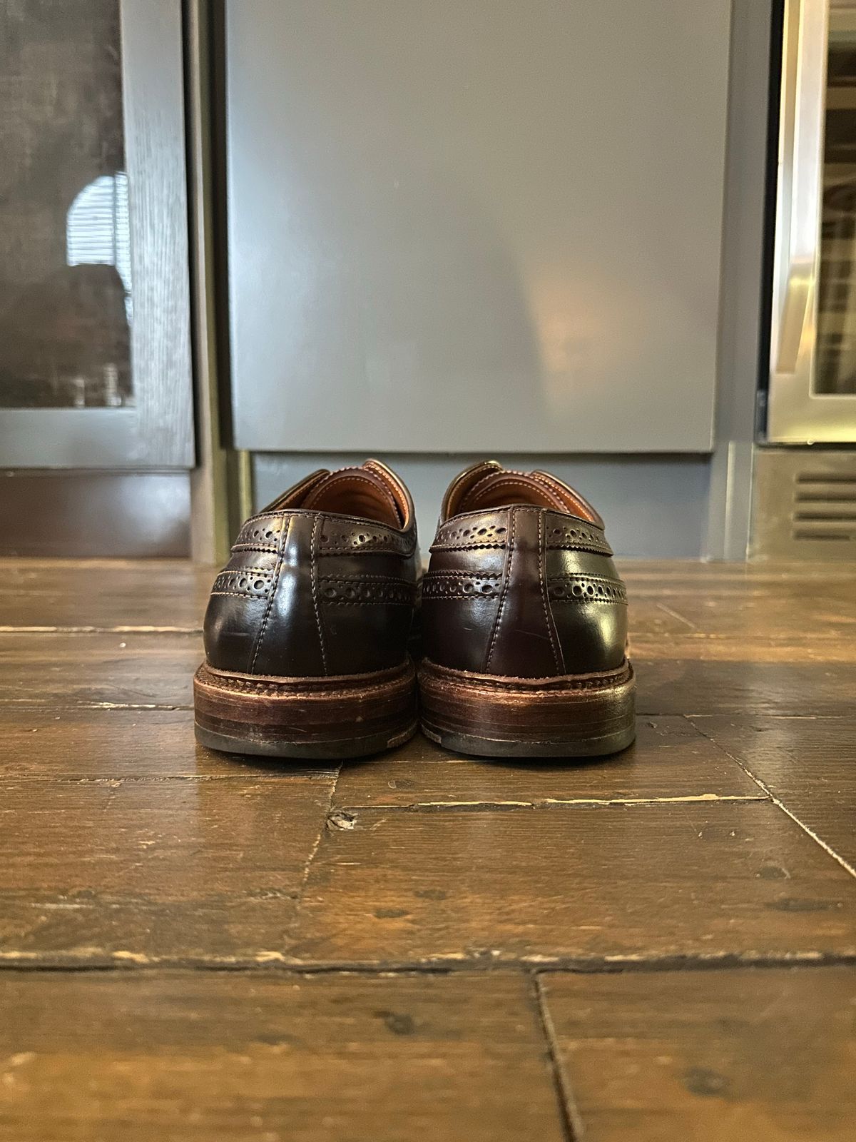Photo by full_brogue on December 4, 2022 of the Alden Long Wing Blucher in Horween Color 8 Shell Cordovan.