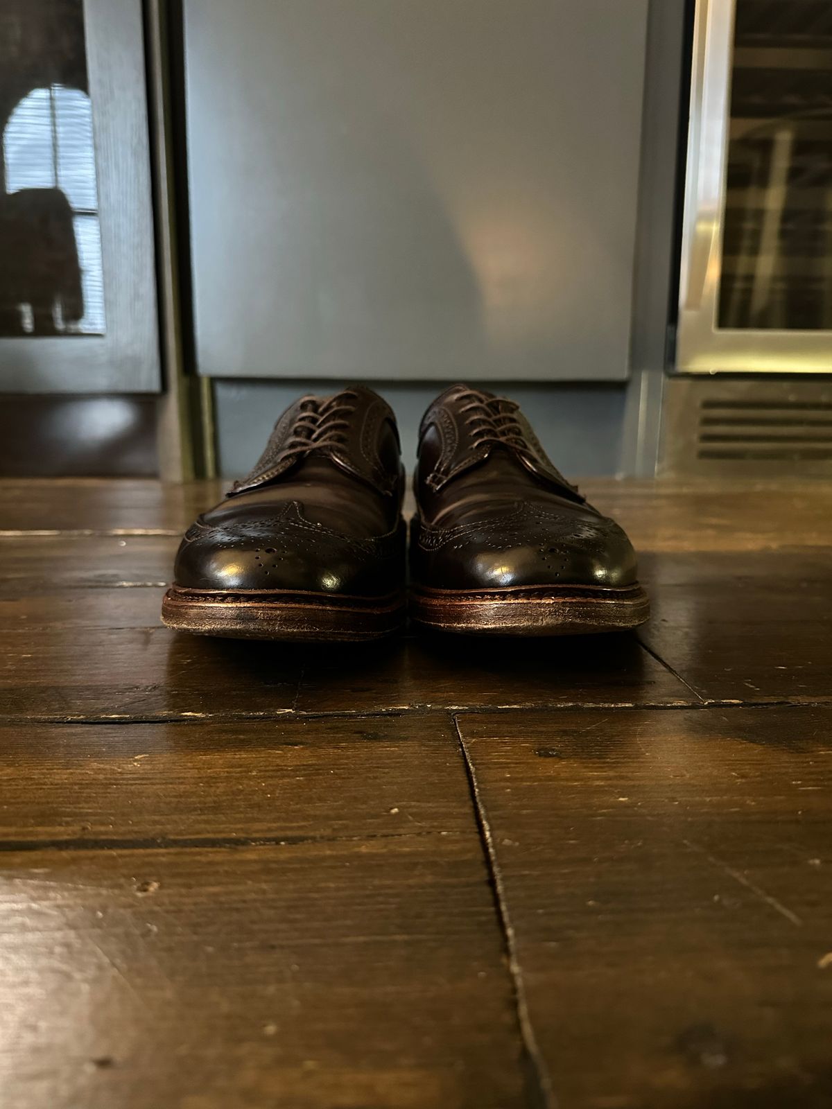 Photo by full_brogue on December 4, 2022 of the Alden Long Wing Blucher in Horween Color 8 Shell Cordovan.