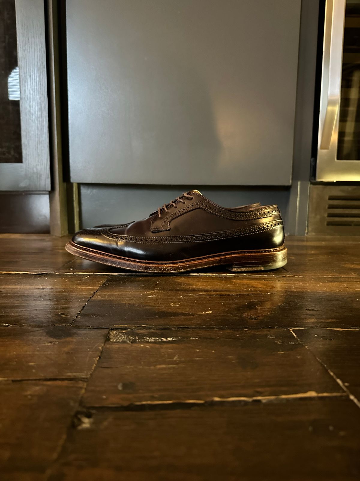 Photo by full_brogue on December 4, 2022 of the Alden Long Wing Blucher in Horween Color 8 Shell Cordovan.