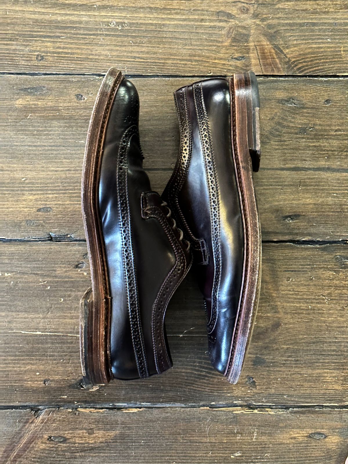 Photo by full_brogue on December 4, 2022 of the Alden Long Wing Blucher in Horween Color 8 Shell Cordovan.
