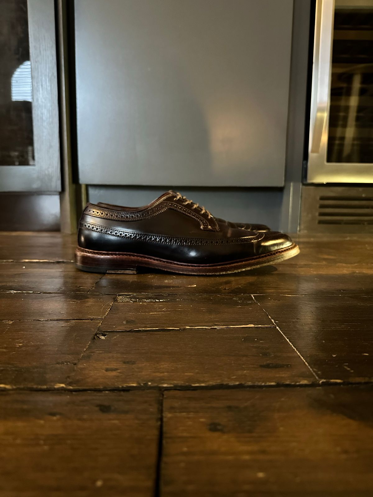 Photo by full_brogue on December 4, 2022 of the Alden Long Wing Blucher in Horween Color 8 Shell Cordovan.