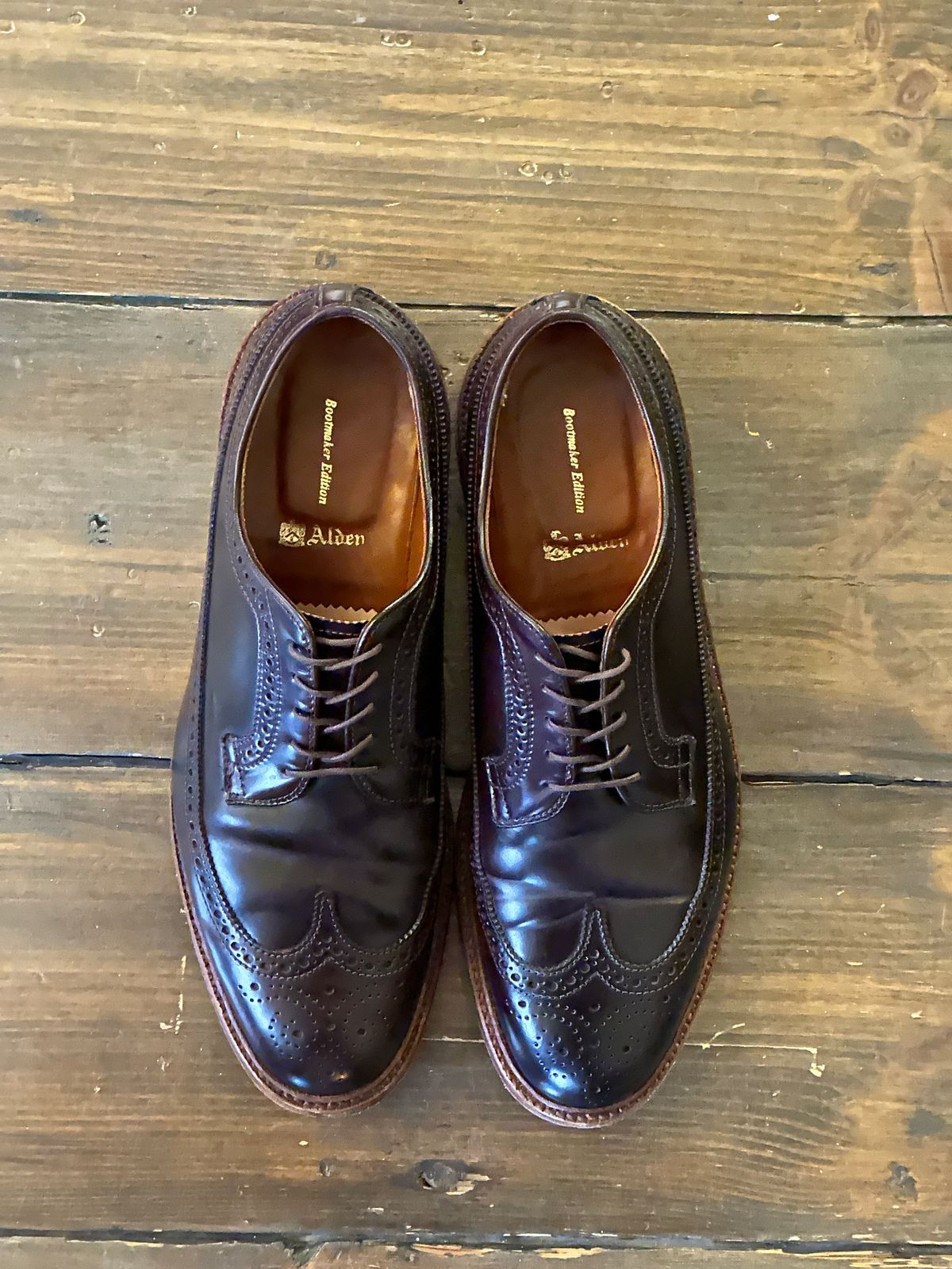 Photo by full_brogue on December 4, 2022 of the Alden Long Wing Blucher in Horween Color 8 Shell Cordovan.