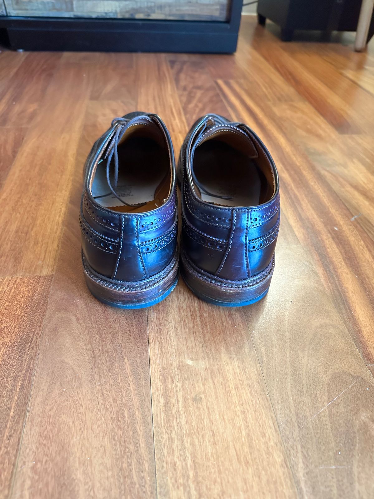Photo by full_brogue on January 5, 2023 of the Alden Long Wing Blucher in Horween Color 8 Shell Cordovan.
