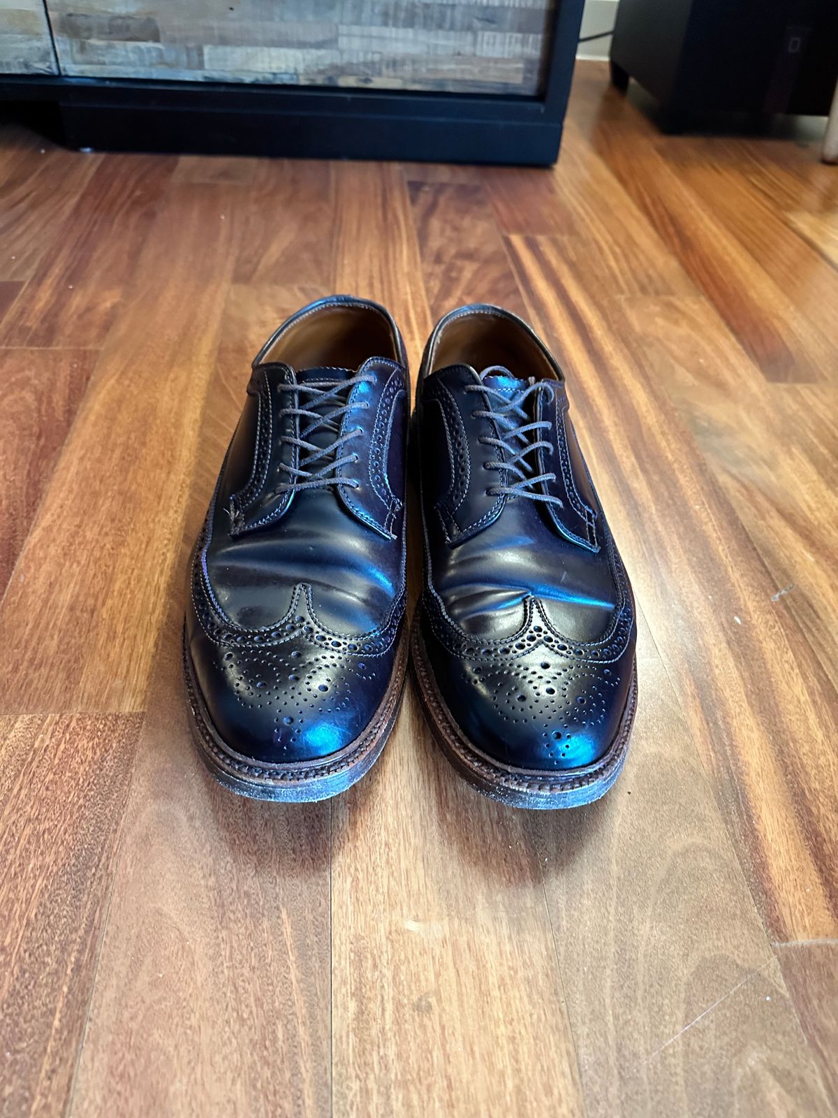 Photo by full_brogue on January 5, 2023 of the Alden Long Wing Blucher in Horween Color 8 Shell Cordovan.