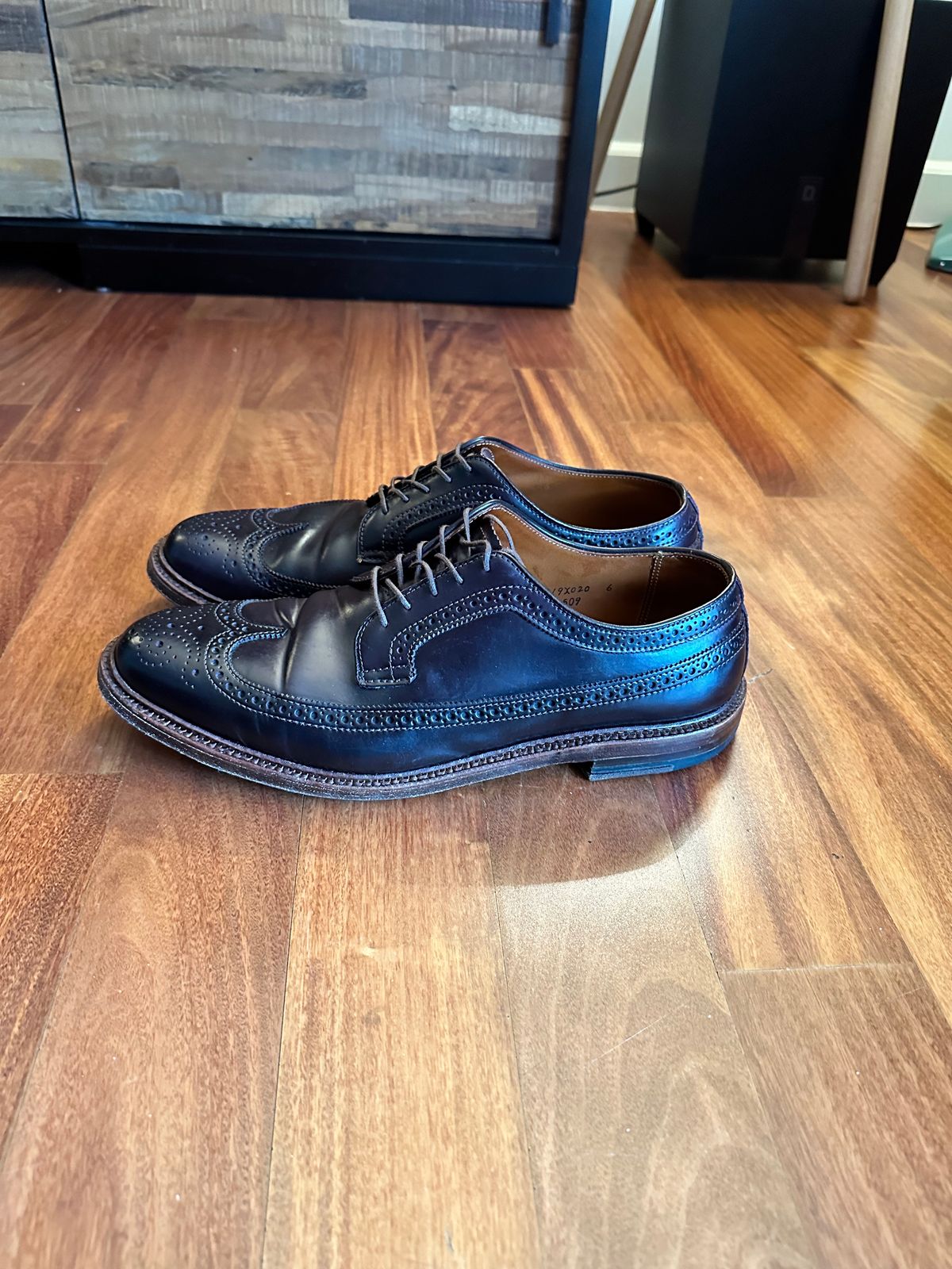 Photo by full_brogue on January 5, 2023 of the Alden Long Wing Blucher in Horween Color 8 Shell Cordovan.