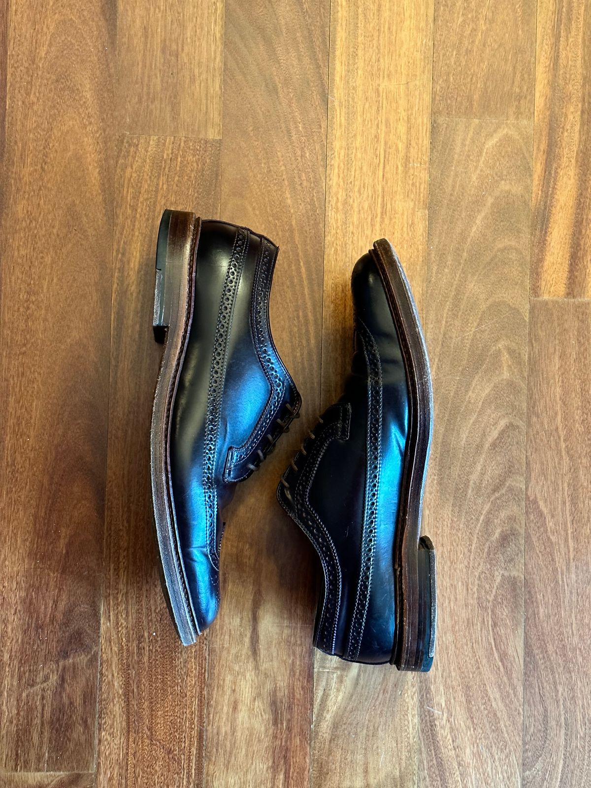 Photo by full_brogue on January 5, 2023 of the Alden Long Wing Blucher in Horween Color 8 Shell Cordovan.