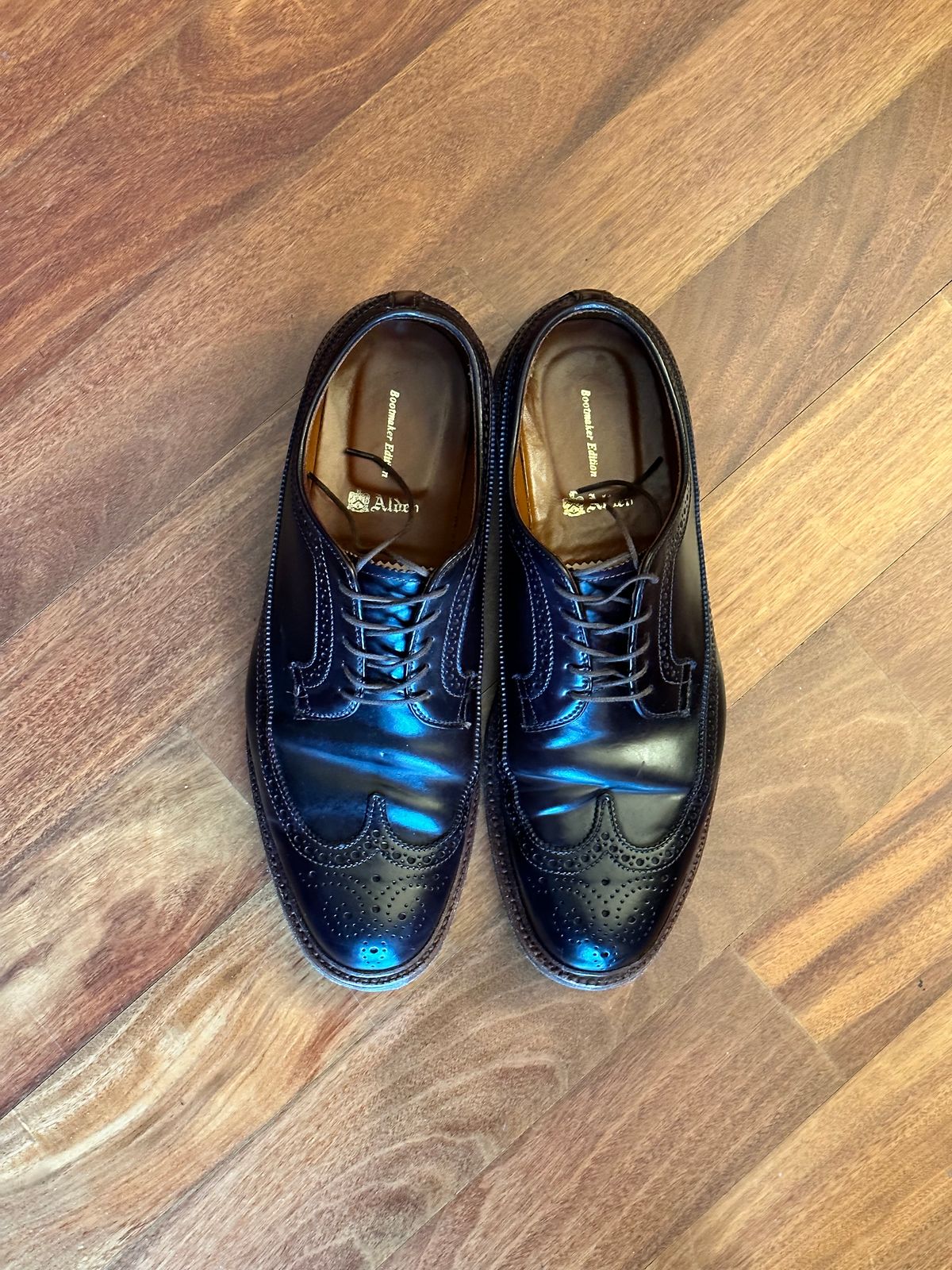 Photo by full_brogue on January 5, 2023 of the Alden Long Wing Blucher in Horween Color 8 Shell Cordovan.