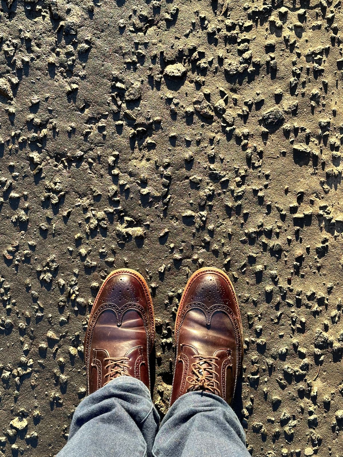 Photo by full_brogue on February 5, 2023 of the Alden Long Wing Blucher in Horween Color 8 Shell Cordovan.
