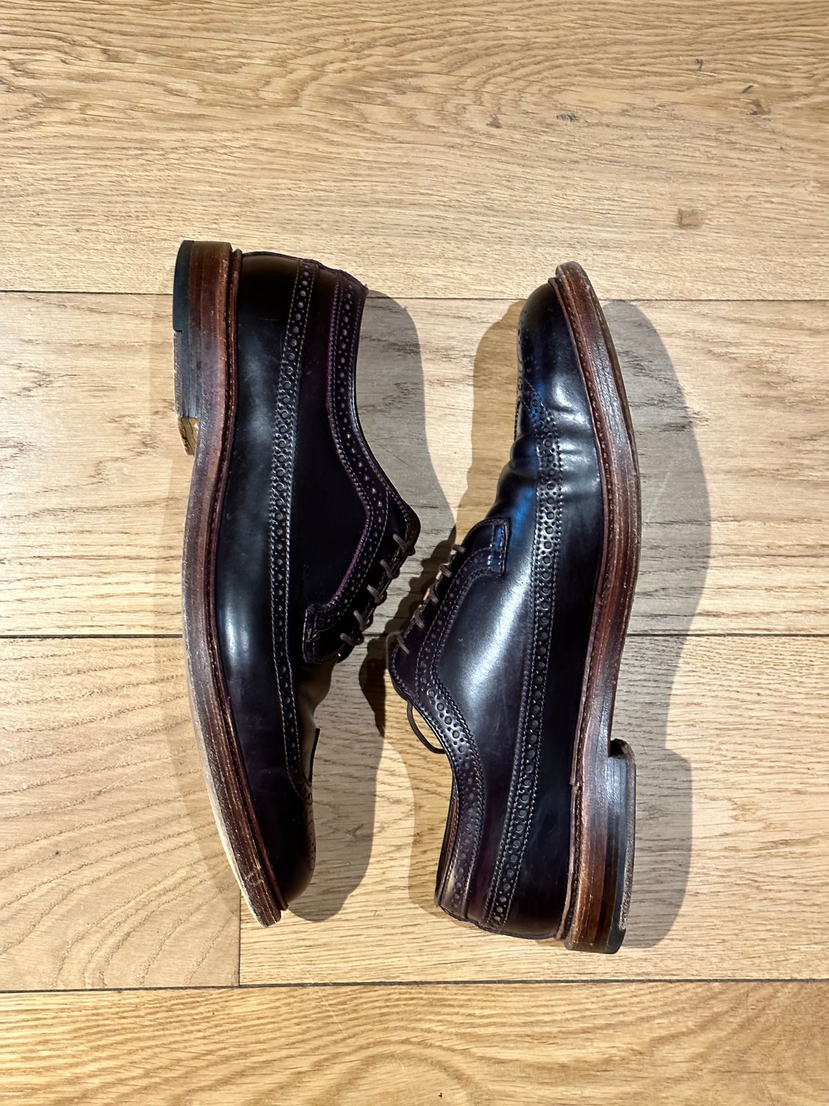 Photo by full_brogue on February 5, 2023 of the Alden Long Wing Blucher in Horween Color 8 Shell Cordovan.