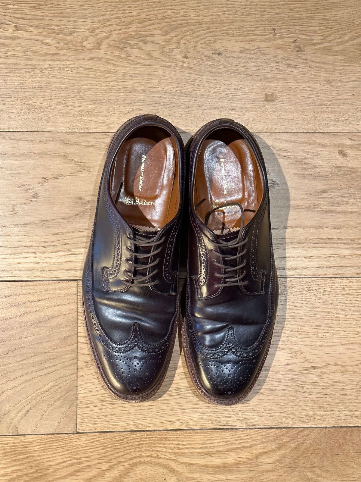 Photo by full_brogue on February 5, 2023 of the Alden Long Wing Blucher in Horween Color 8 Shell Cordovan.