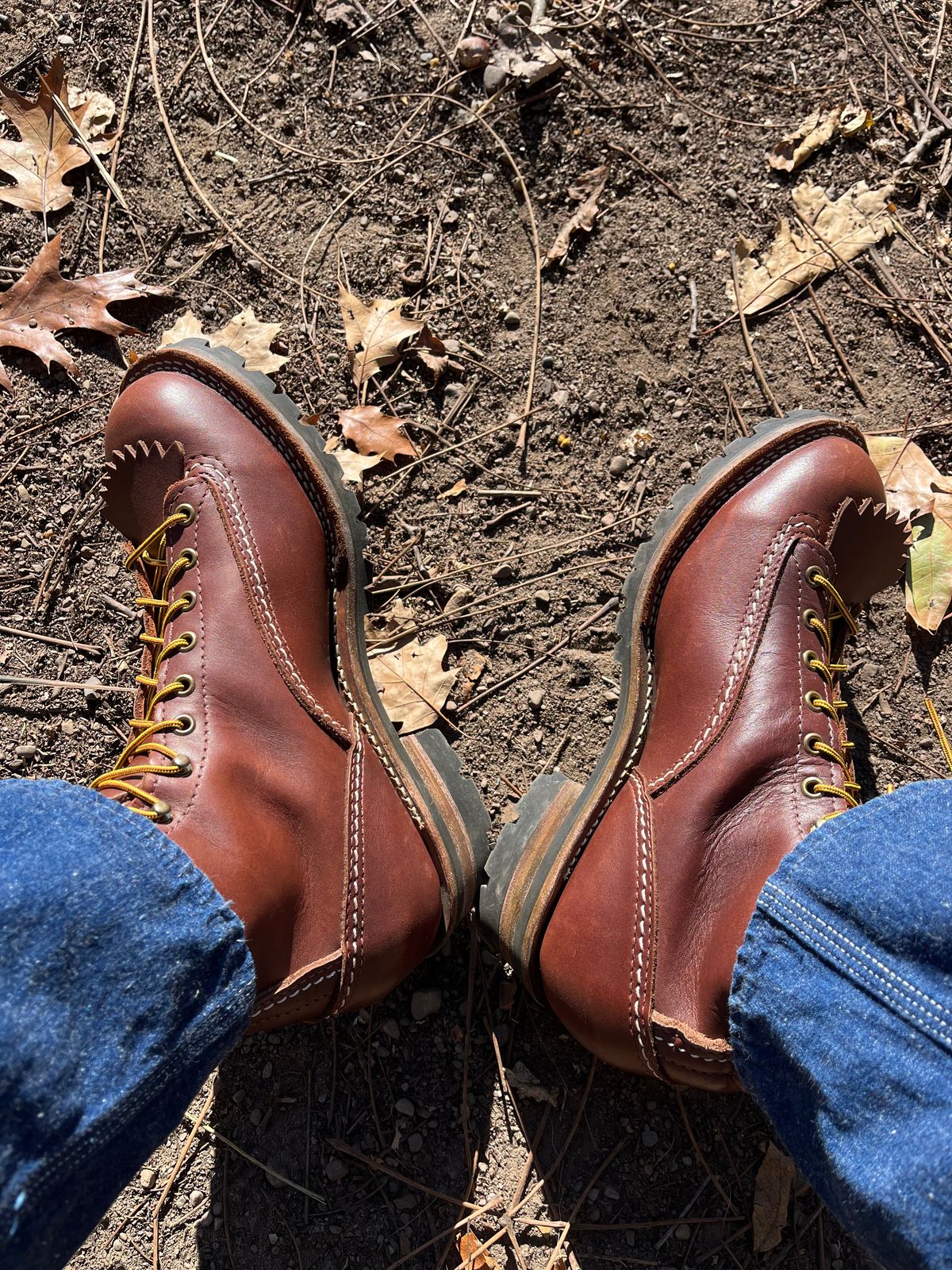 Photo by J_L on October 29, 2025 of the Wesco Jobmaster in Seidel Brown Oil Tan.