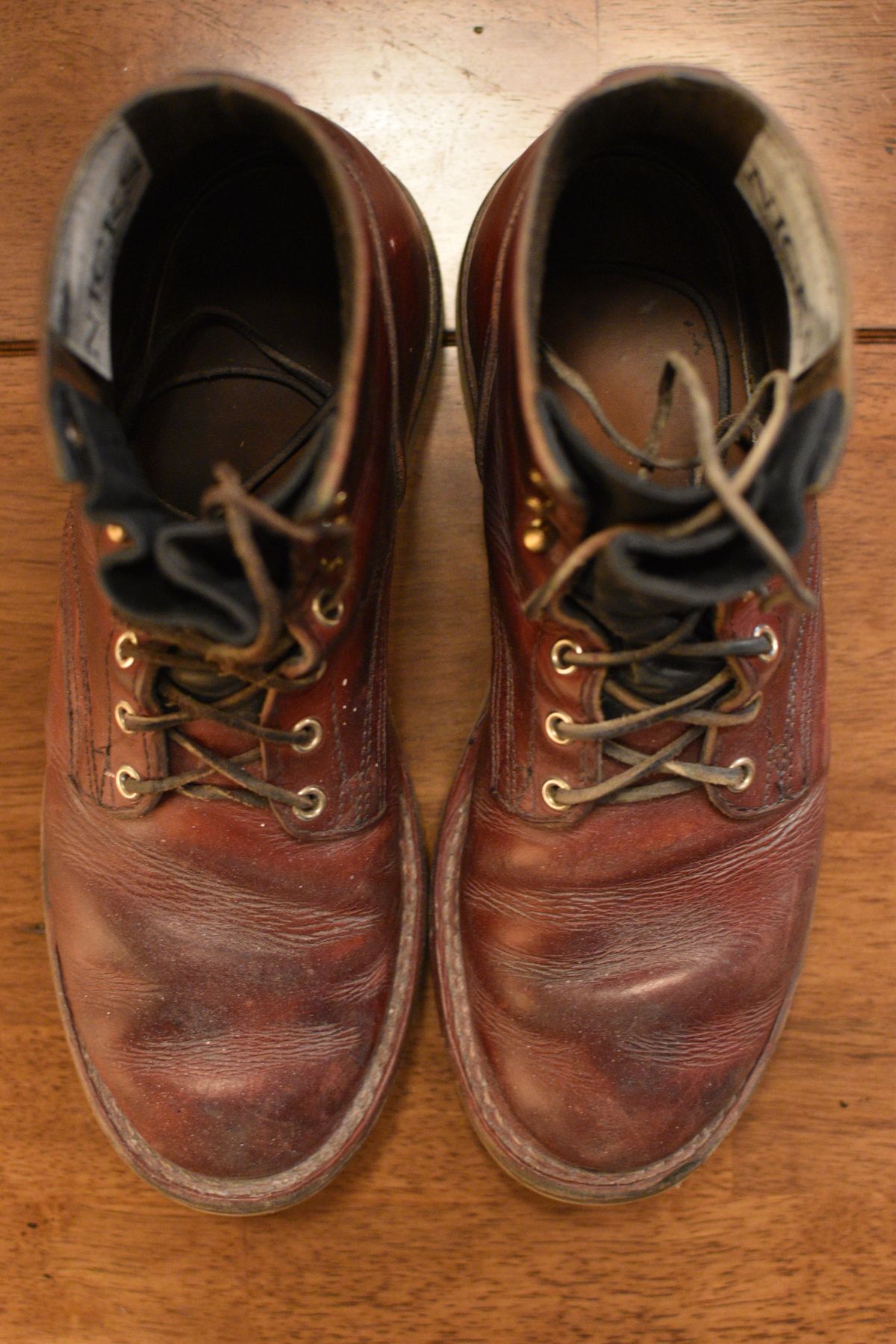 Photo by SKopp on November 1, 2025 of the Nicks Free Range in Double Stuffed Crimson.