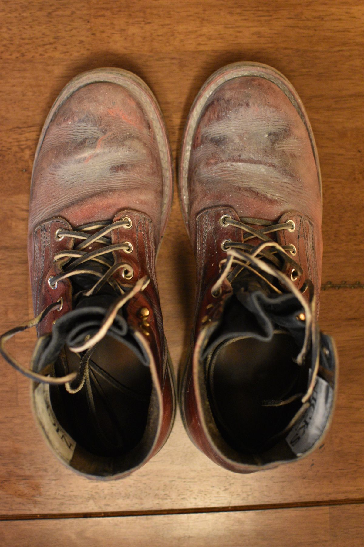 Photo by SKopp on February 1, 2026 of the Nicks Free Range in Double Stuffed Crimson.