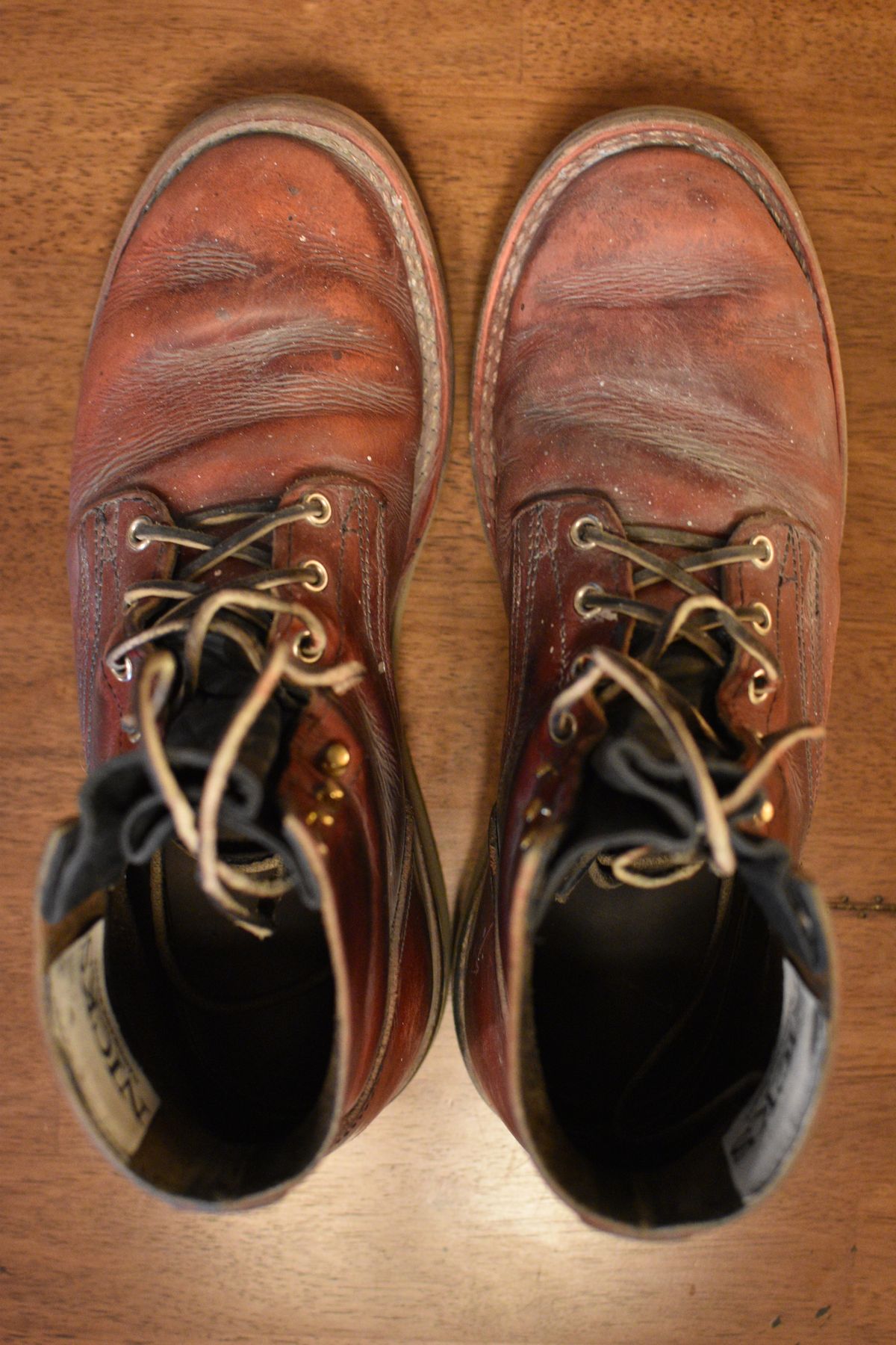 Photo by SKopp on March 1, 2026 of the Nicks Free Range in Double Stuffed Crimson.