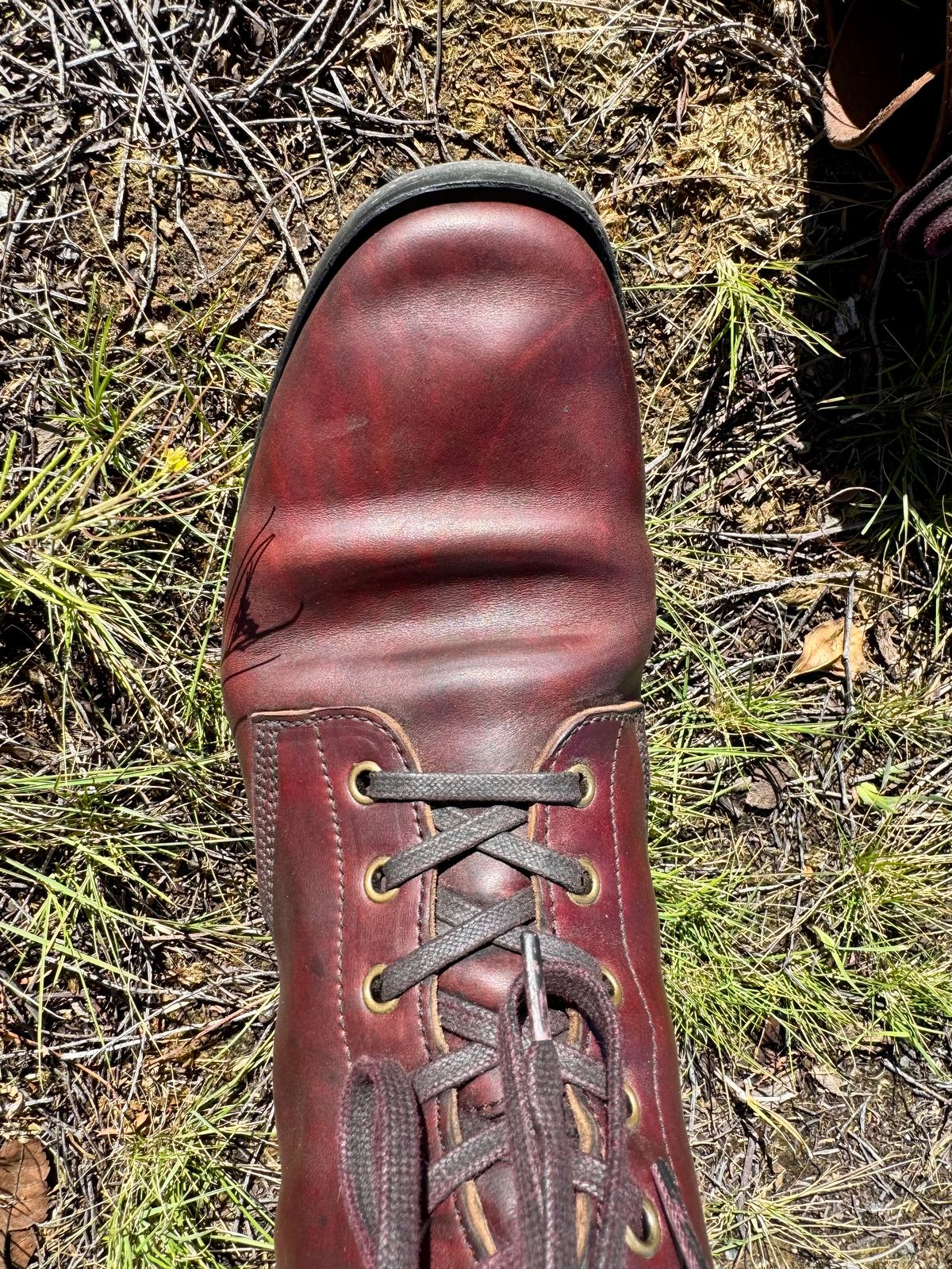 Photo by PatinaTechnodrome on February 2, 2025 of the Crux Deluxe Boondockers in Guidi House Cab.