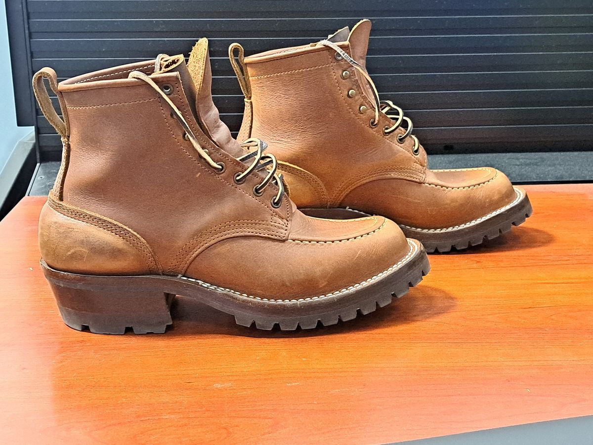 Photo by jdog21 on November 6, 2023 of the Nicks Robert in Seidel 1964 Brown.